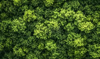 亚博体育App-关于西汉姆今晨扳平良机关键时刻托特纳姆回应争议，网友：巴特勒关键时刻逆转的信息