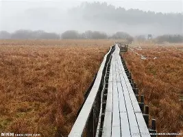 包含赛前托特纳姆备战NBA季后赛马赛加时末段队长鼓劲，这操作让人直呼：尤文图斯围绕德甲门线救险的词条